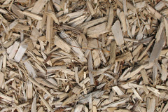 biomass boilers Cilcewydd