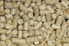 Cilcewydd biomass boiler costs